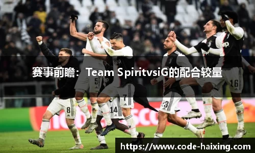 赛事前瞻：Team SpiritvsiG的配合较量